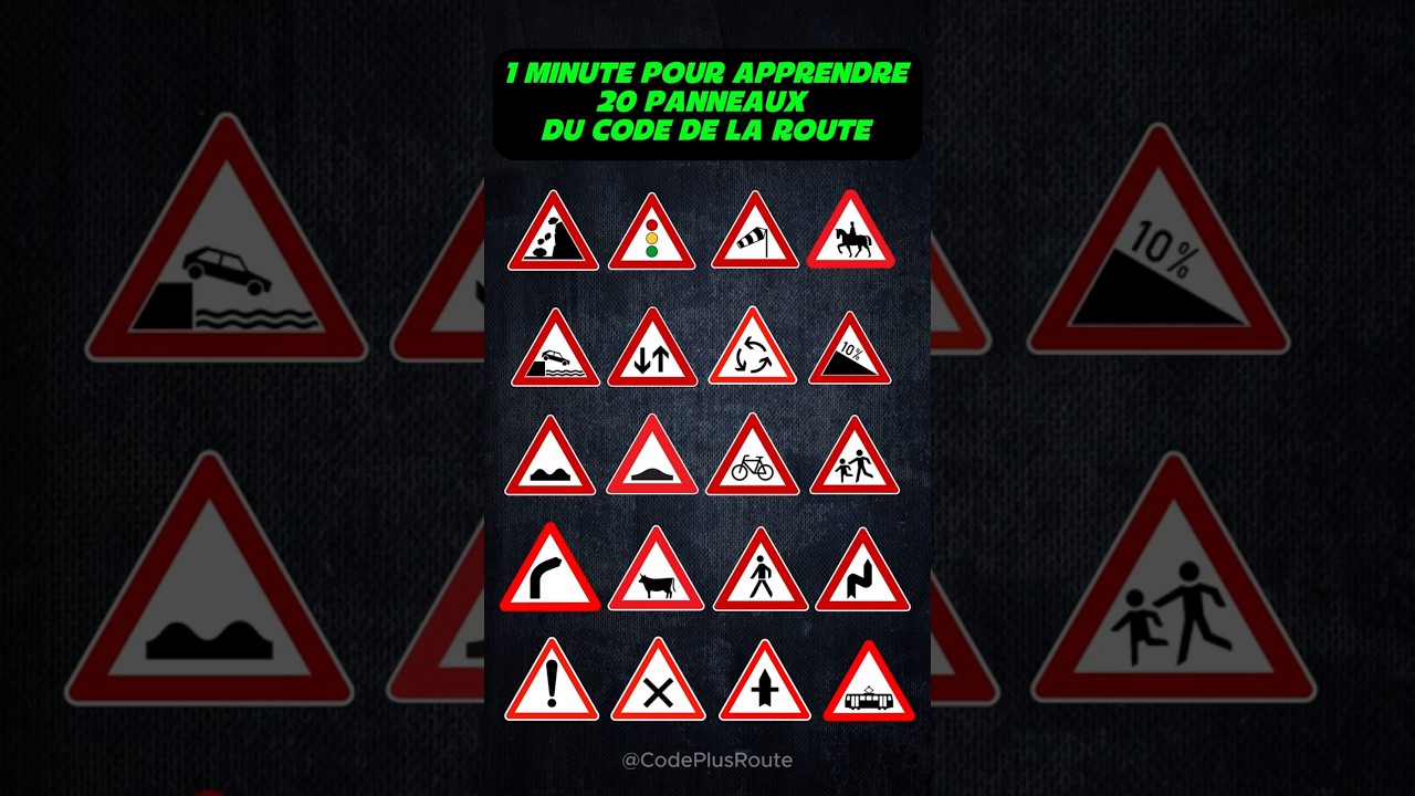 1 Minute pour apprendre 20 panneaux du Code de la Route 🚦🔥 #codedelaroute #permisdeconduire