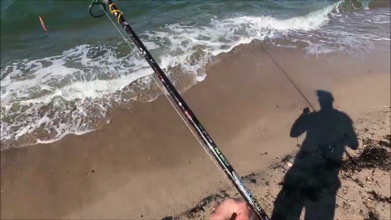 Ostseeangel, Auf Meerforelle am Weissenhäuser Strand mit kleiner Überraschung