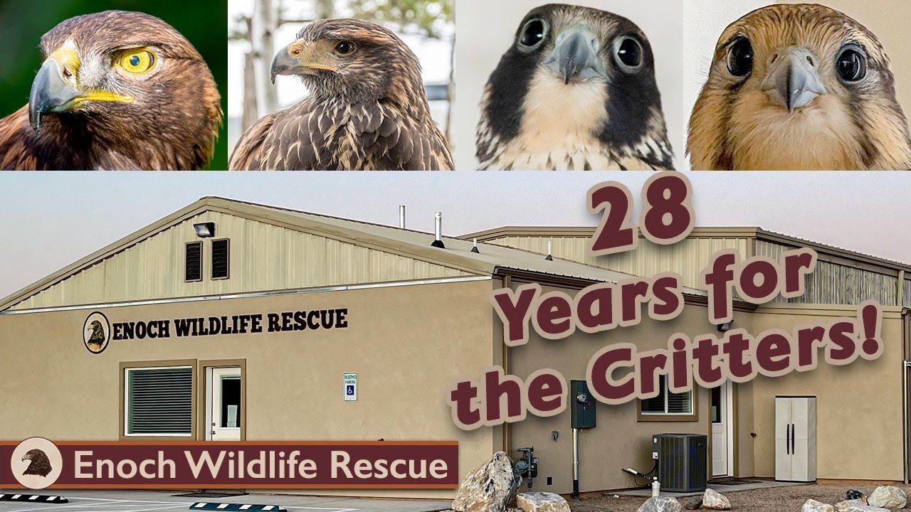 All Wildlife Ambassadors Join in for Anniversary Celebration!