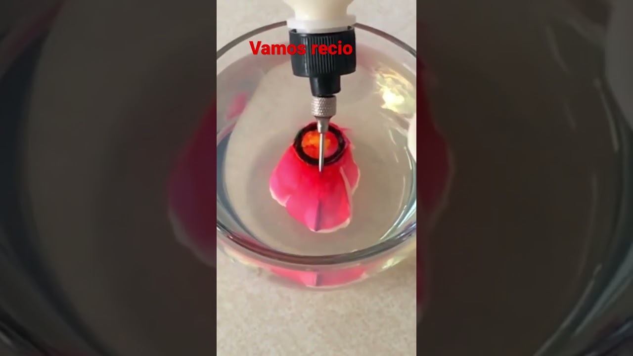 Tinted Rose In Art Of Gelatin