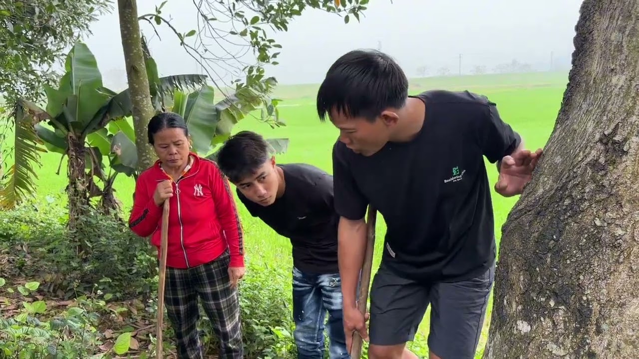 Hảo Cay Cú Cho Bà Minh Biết Ai Là Bạn Tốt Ai Là Bạn Xấu 