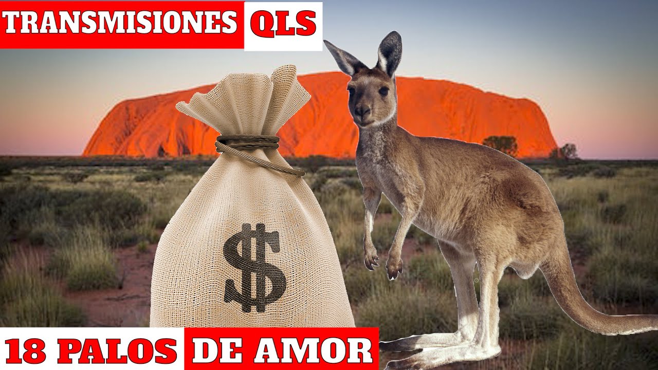 18 PALOS DE AMOR