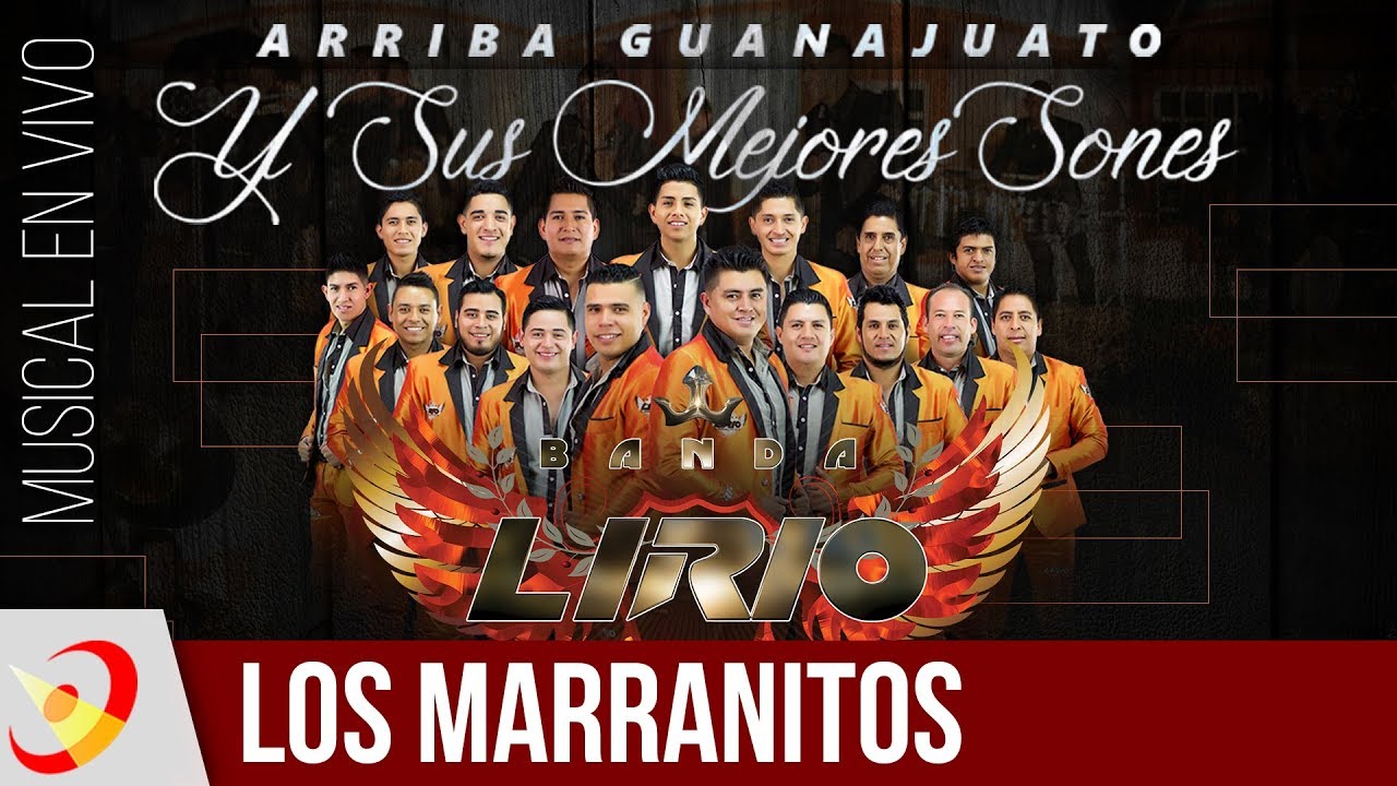 Banda Lirio - Los Marranitos (En Vivo)