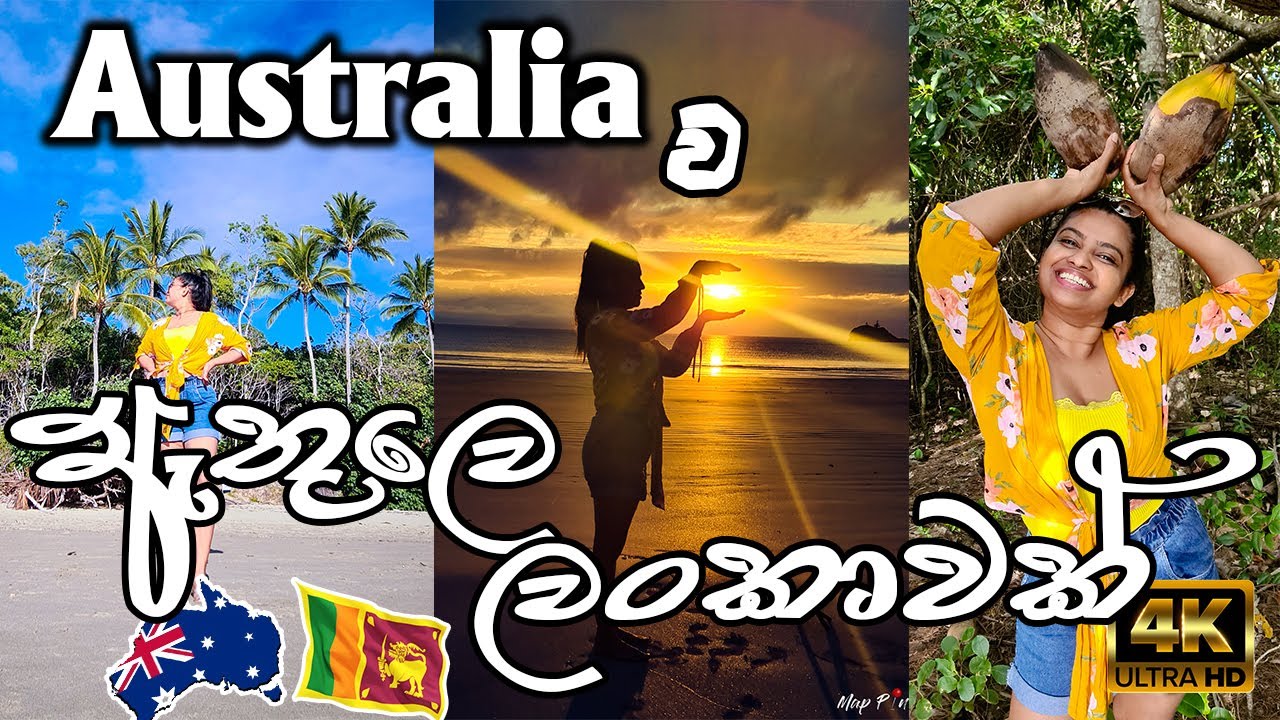 ඕස්ට්‍රේලියාවේ ගස් යට කුණුවෙන පොල් |4k|MapPin Travel| Queensland Australia