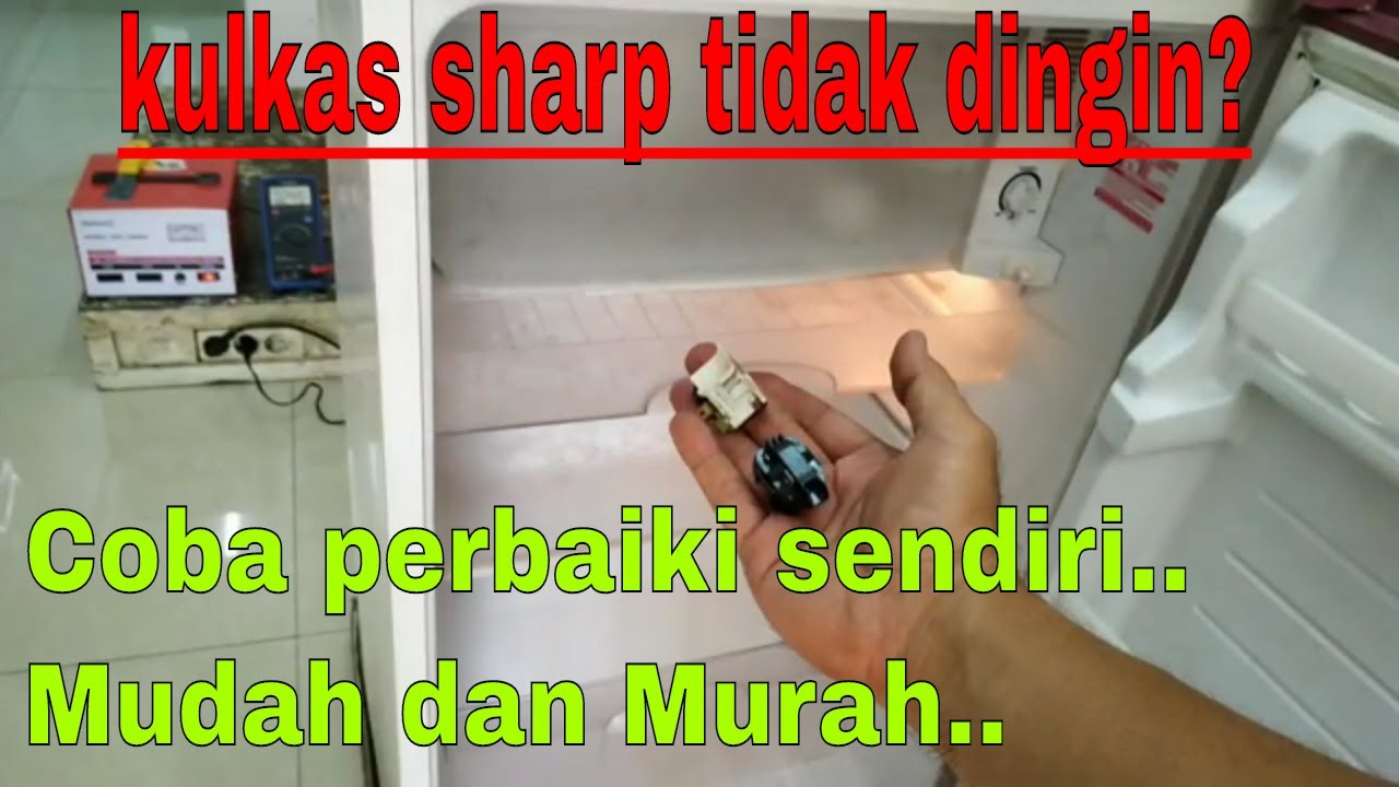 Ini penyebab Kulkas Sharp 1 pintu Tidak Dingin, coba perbaiki Sendiri.