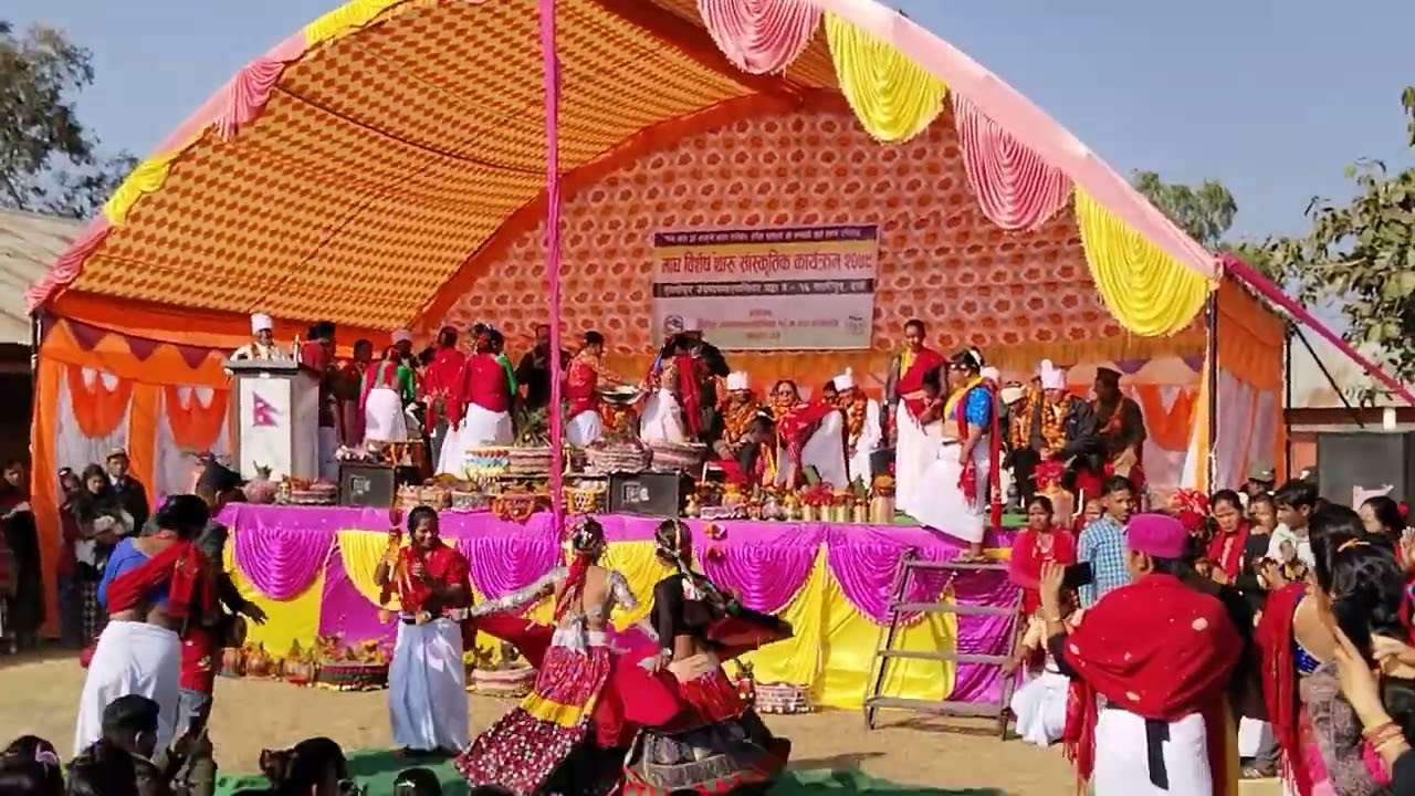 Tulsipur 16 Uttar kurahariya Dang Dhamakedar Tharu Naach 2079 Laxmipur