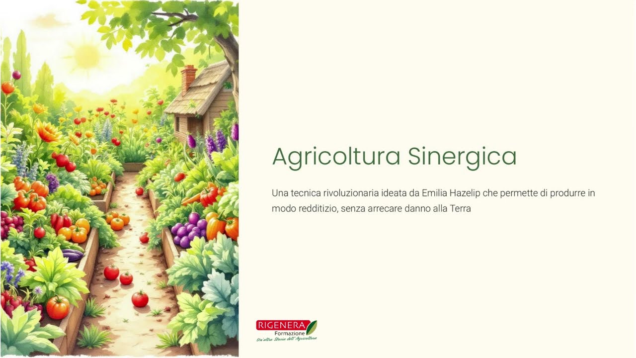 Agricoltura Sinergica: Principi, Aiuole Rialzate e Transizione da Chimica - Rigenera Formazione.​​