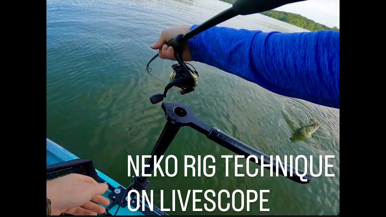 Neko Rig on livescope for suspended bass?