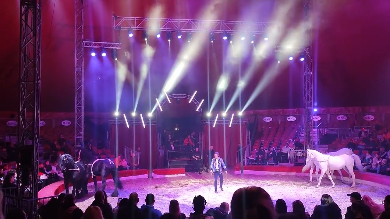 Richter Jozsef - konie - sezon 2025