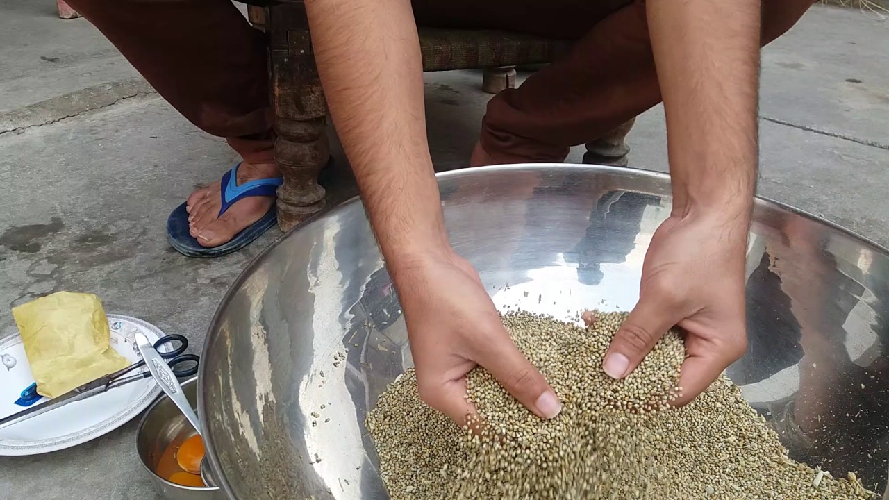 Bird Breeding Formula Tiar Karnay Ka Tarika
