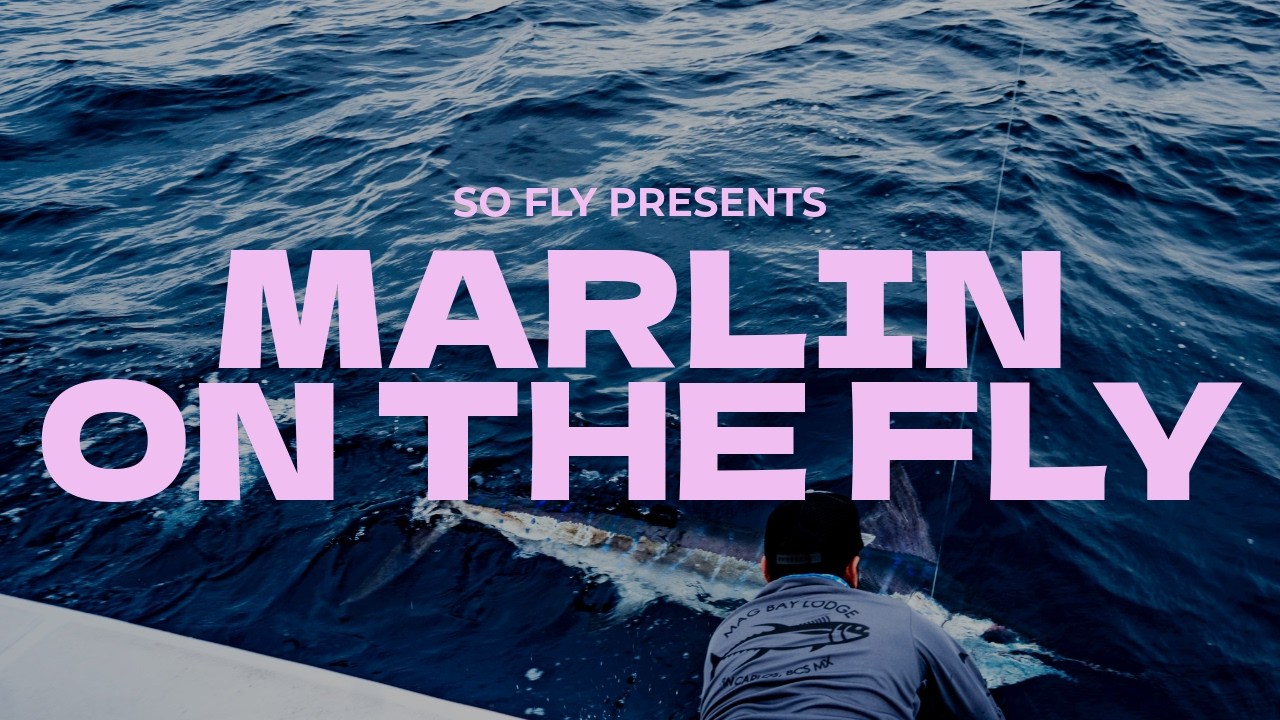 MAG BAY LODGE | Fly Fishing for Striped Marlin with TacoFly Co. FULL VIDEO