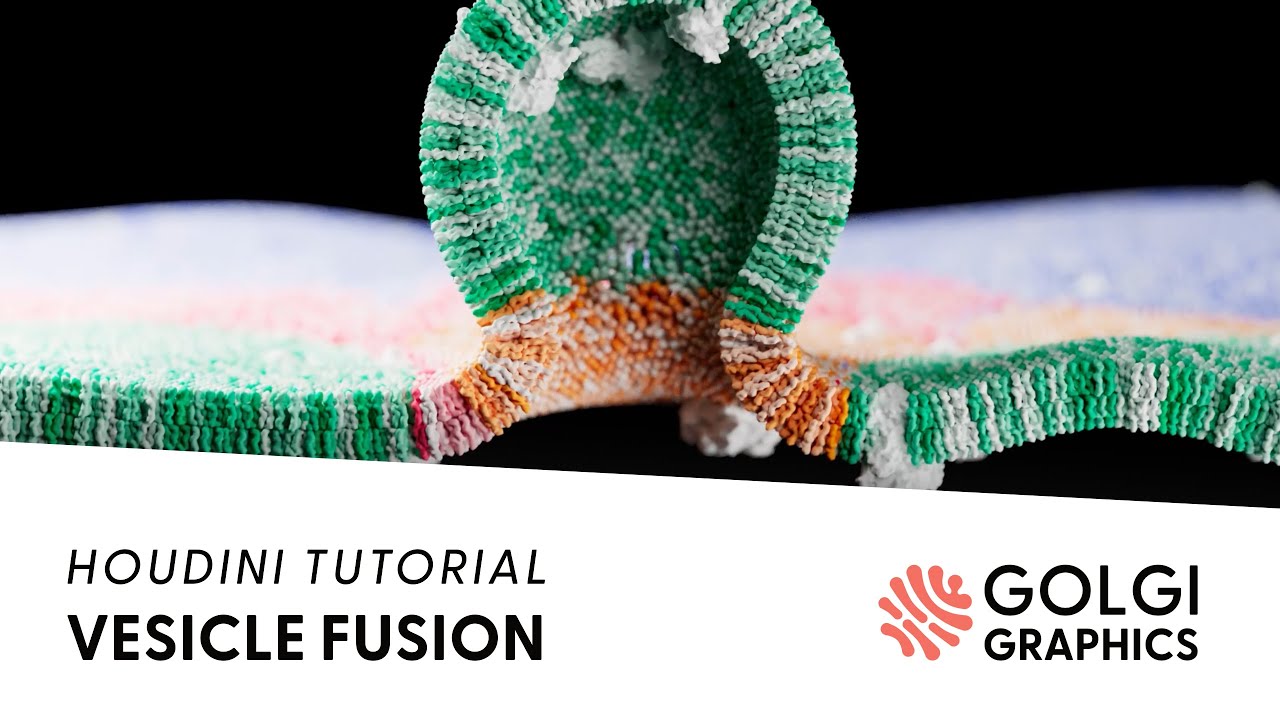 Vesicle fusion in Houdini tutorial: moving lipids along a mesh