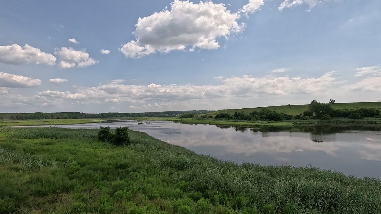 ⁴ᴷ⁶⁰ Walking NYC: Freshkills North Park in Staten Island