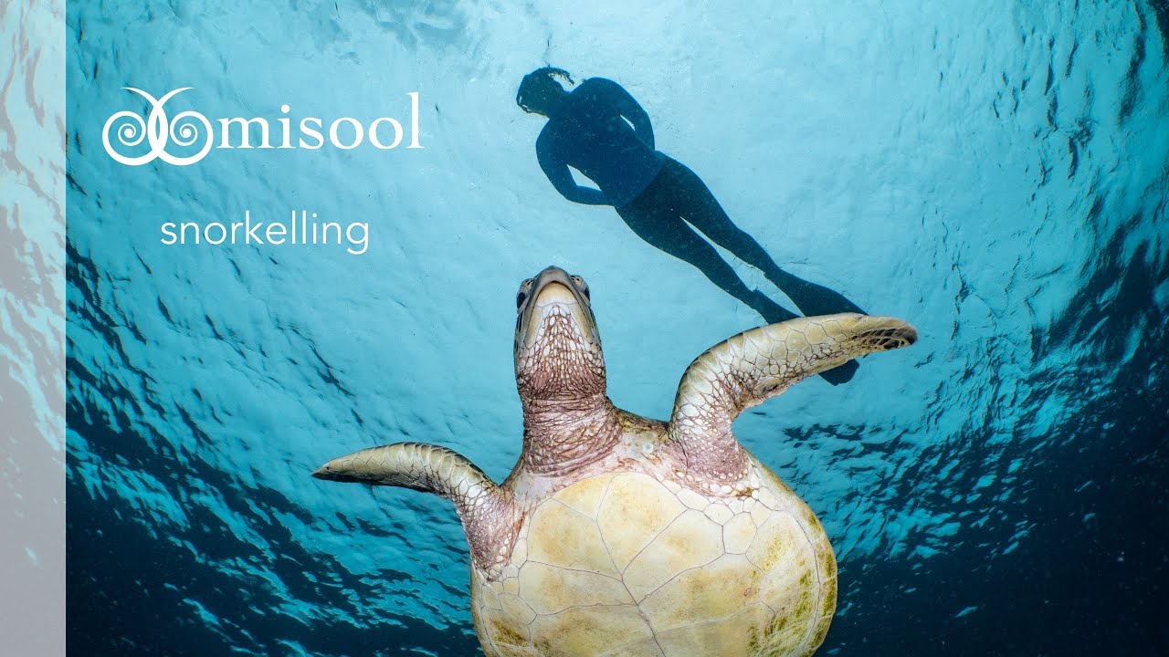 Misool: Snorkelling Adventures