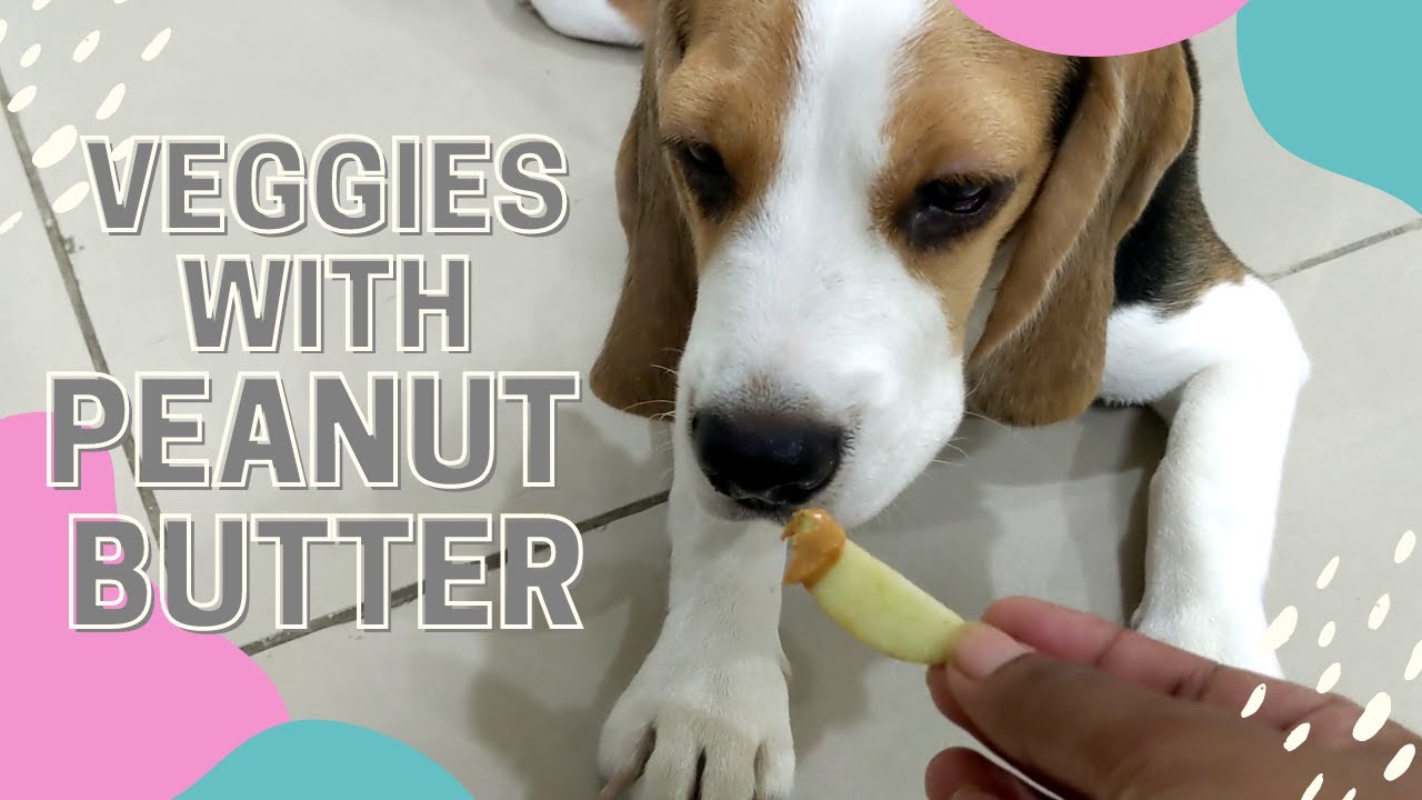 Peanut Butter With Veggies and Fruits | Muffin | TheBeagleMuffin
