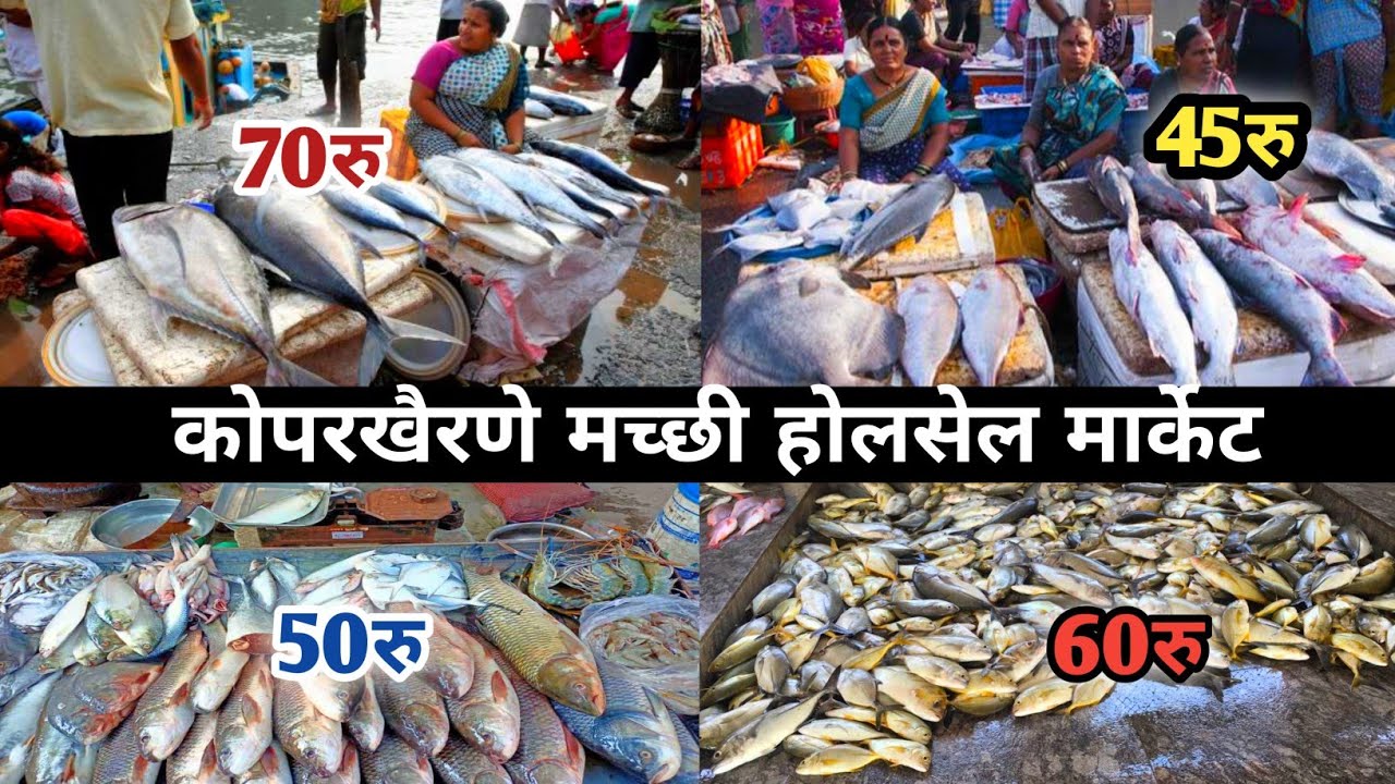 Fish wholesale market Navi Mumbai | Koparkhairane fish market 🐟