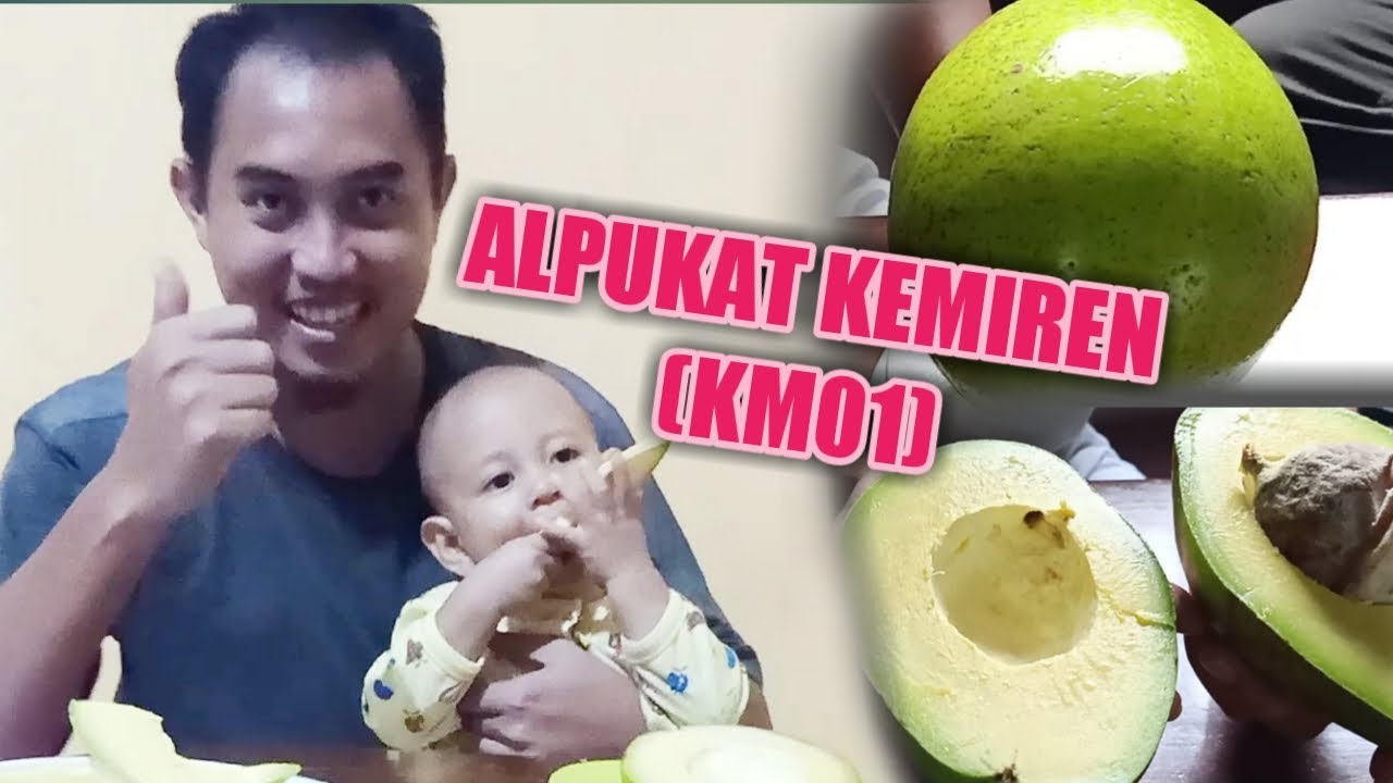 REVIEW ALPUKAT || Kemiren 01 Asli Cilacap
