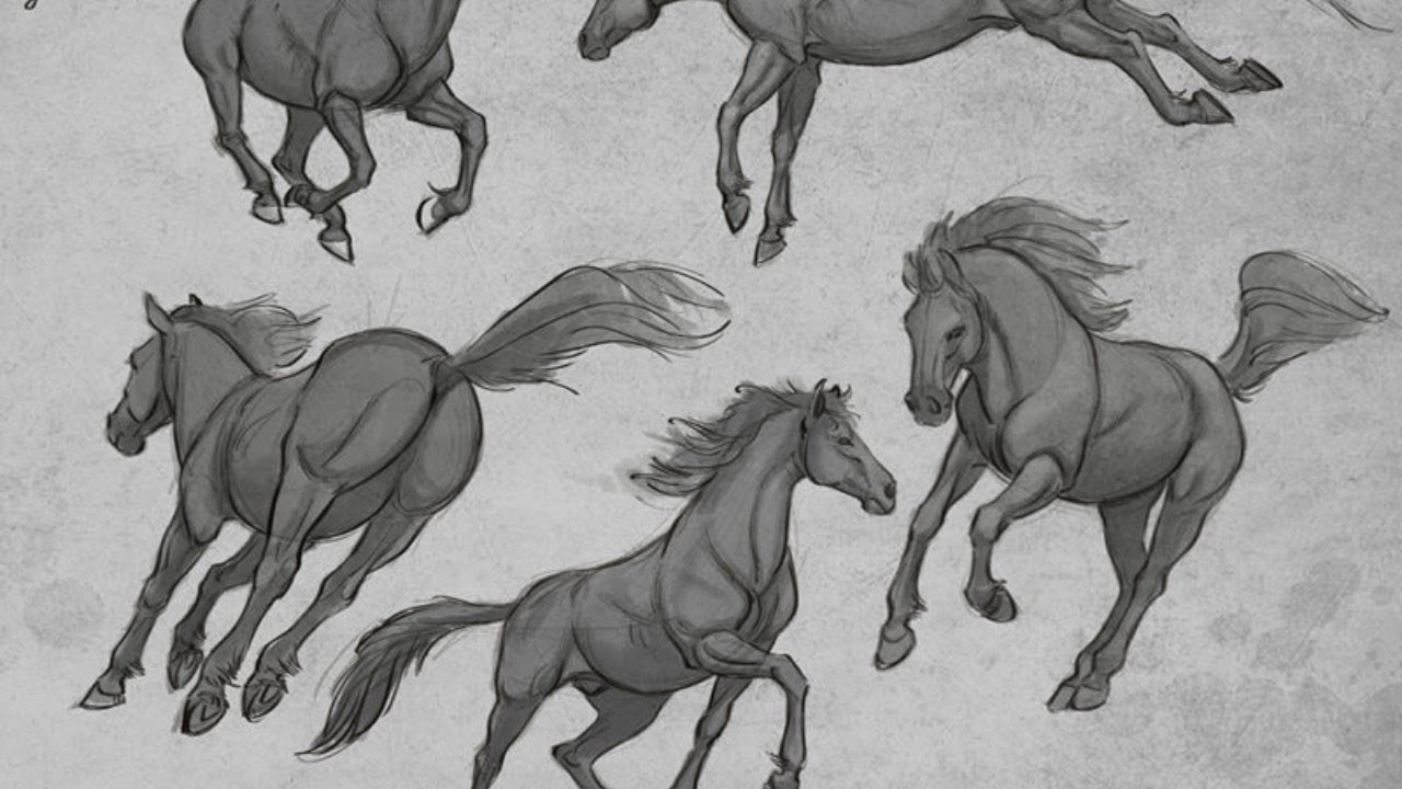 Live Stream - Drawing a Horse