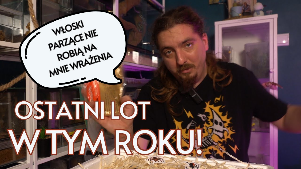 Szykuje do lotu PTASZNIKI, czyli jak przygotowuję paczkę do wysyłki! W tym roku 100% skuteczności!