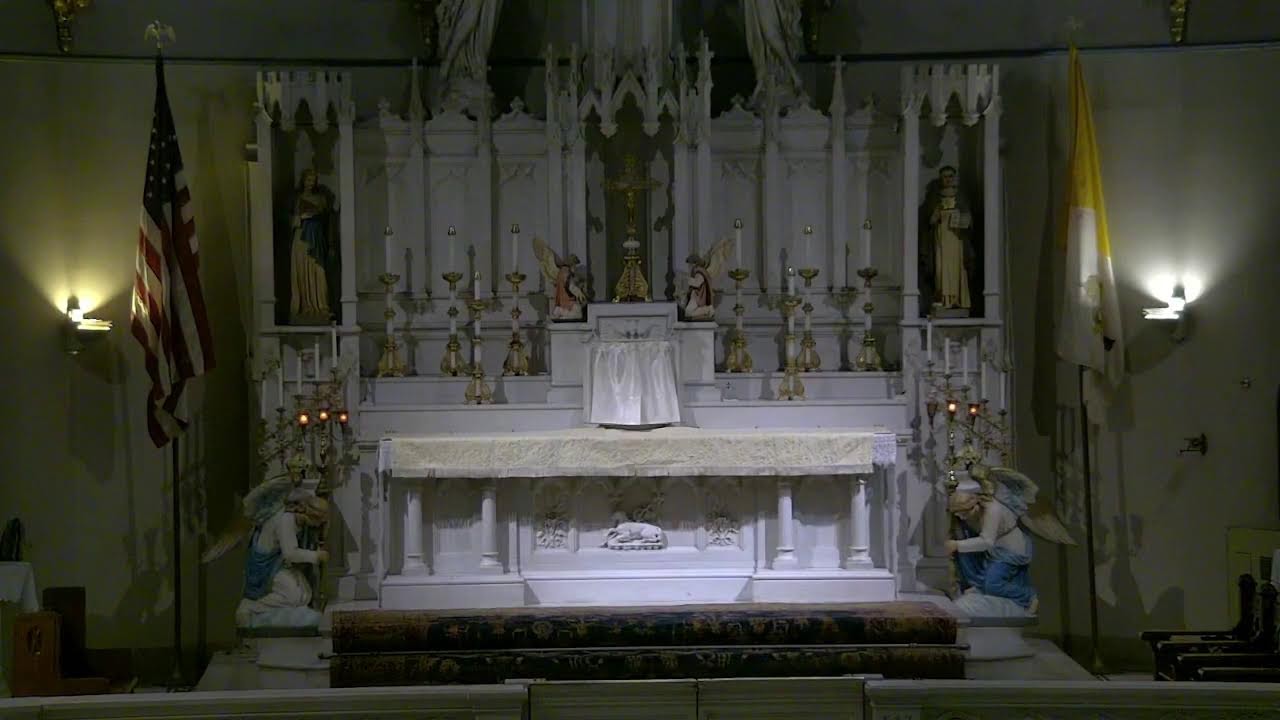 Holy Mass 2/2/26 - Feast of the Purification of the Blessed Virgin Mary