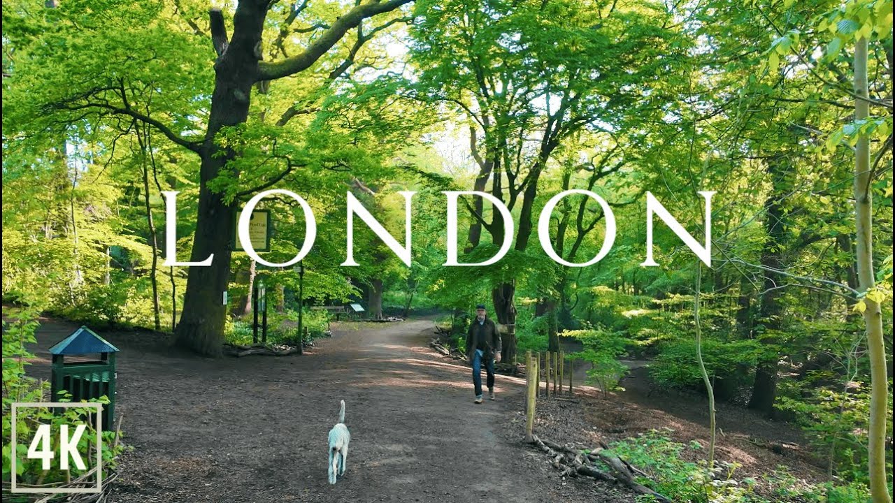 London Morning Walk to Highgate Wood 4K