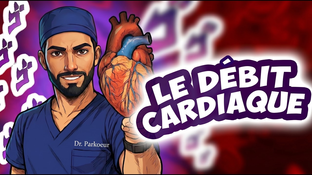 PHYSIOLOGIE : LE DÉBIT CARDIAQUE 🫀