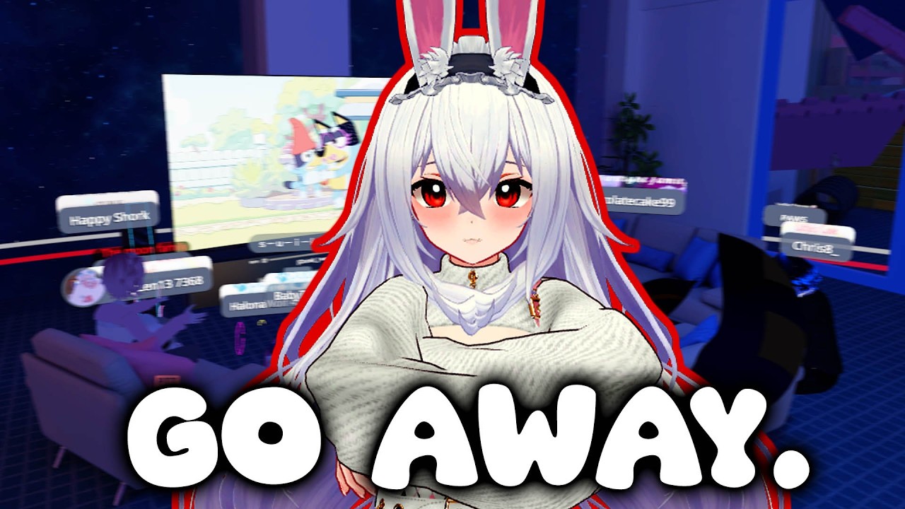 the VR chat 