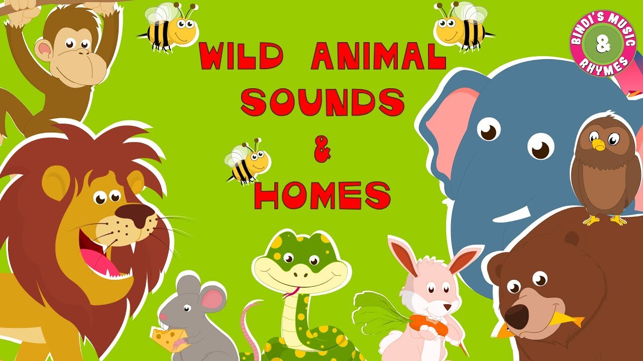 Wild Animal Sounds & Homes | Educational Rhymes | Nursery Rhymes for Children
