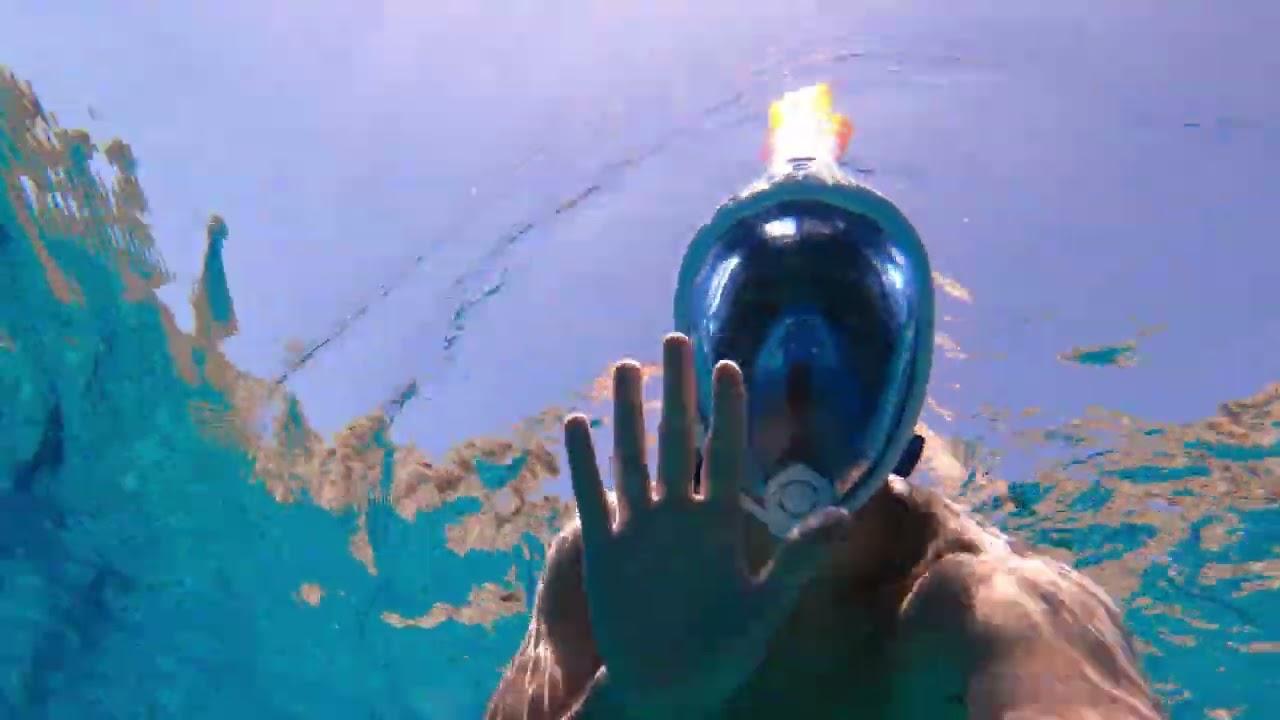 Snorkeling a Pelagosa con Gargano Natour