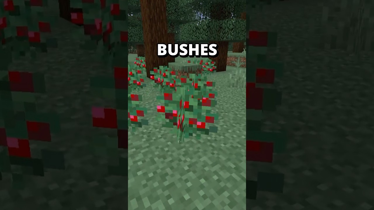 How To Stop Taking Damage From Berry Bushes?