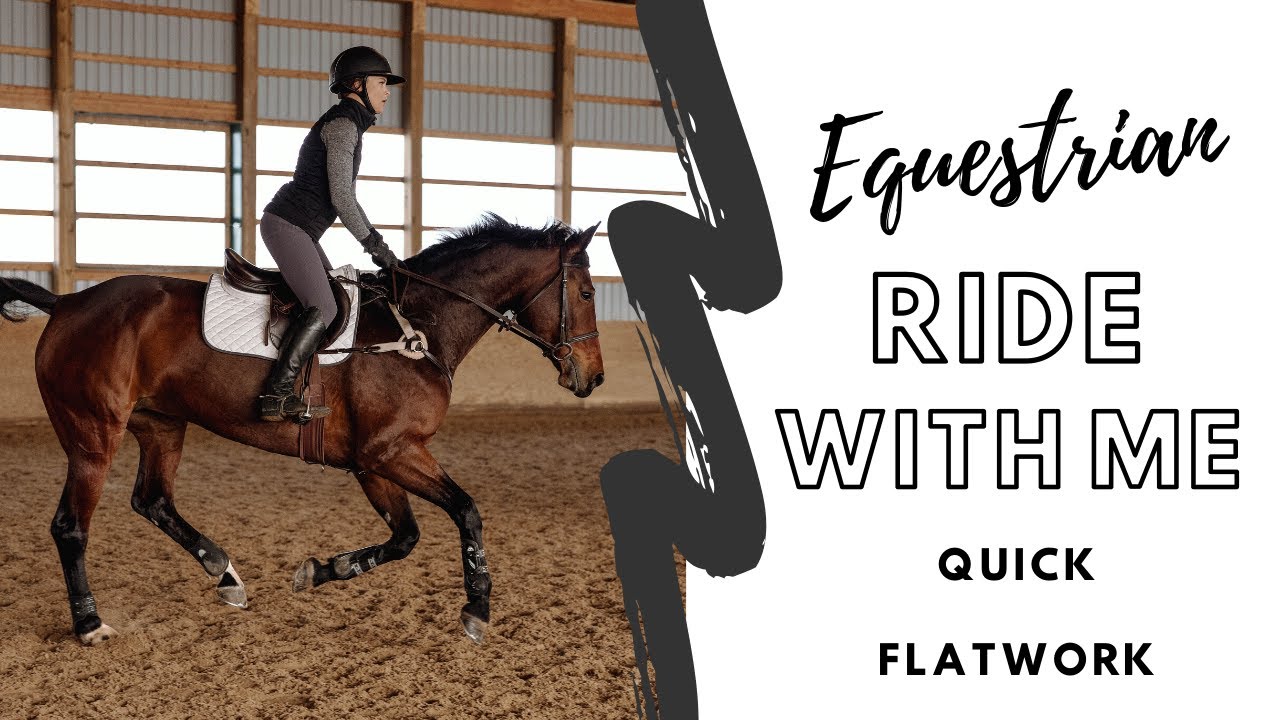 EASY Flatwork Training Tips For A Hot Horse | Springen Equestrian