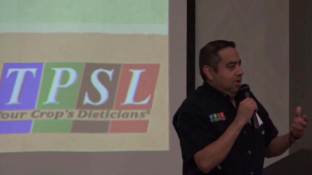 COMPOST STA Test Reports Explained