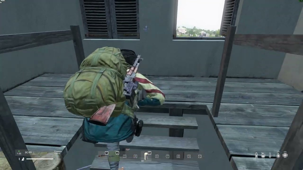DayZ