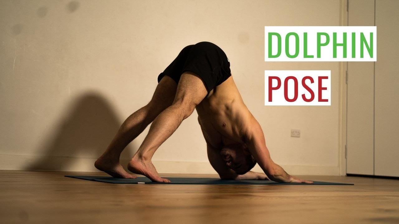Dolphin Pose • Inversion Yoga Series #6 • Yoga with Anastasis