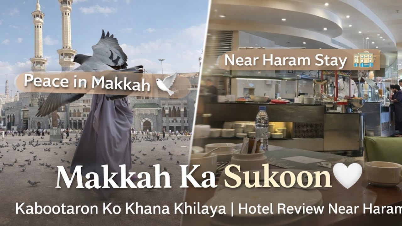 Makkah Ka Sukoon 🤍 | Kabootaron Ko Khana Khilaya | Hotel Review Near Haram