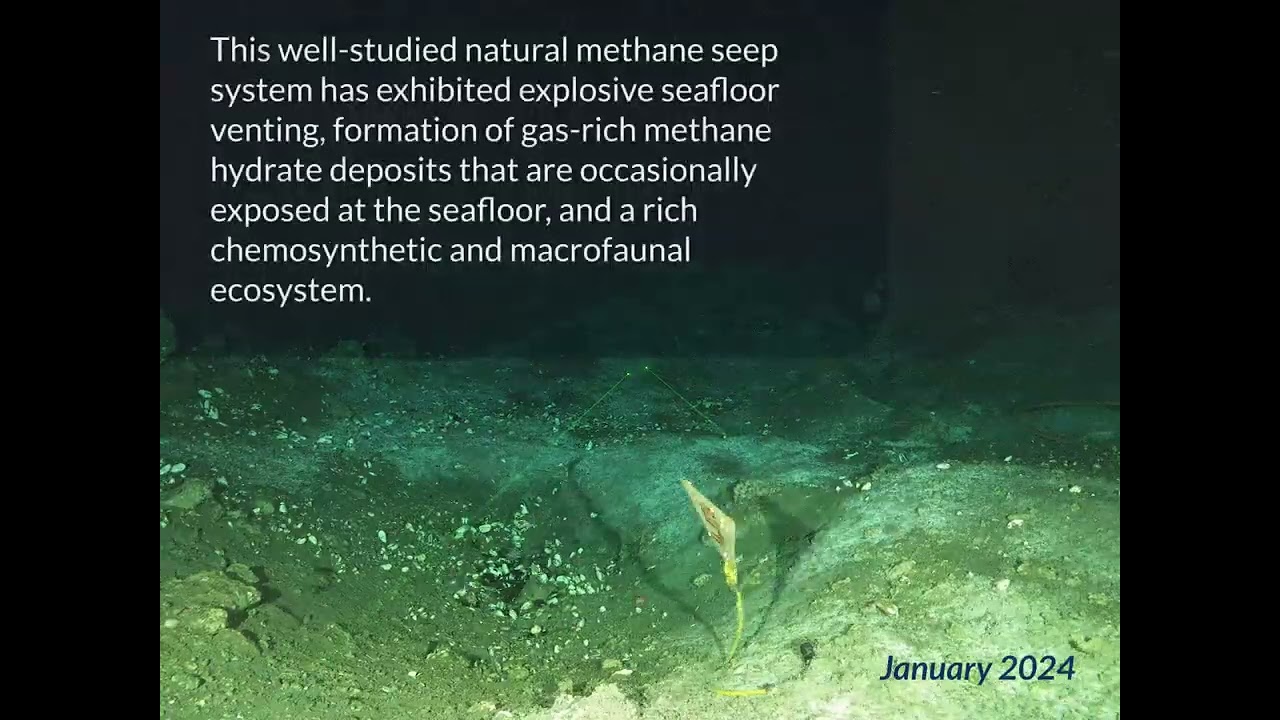 Monitoring Methane Seeps with Autonomous Timelapse Technology