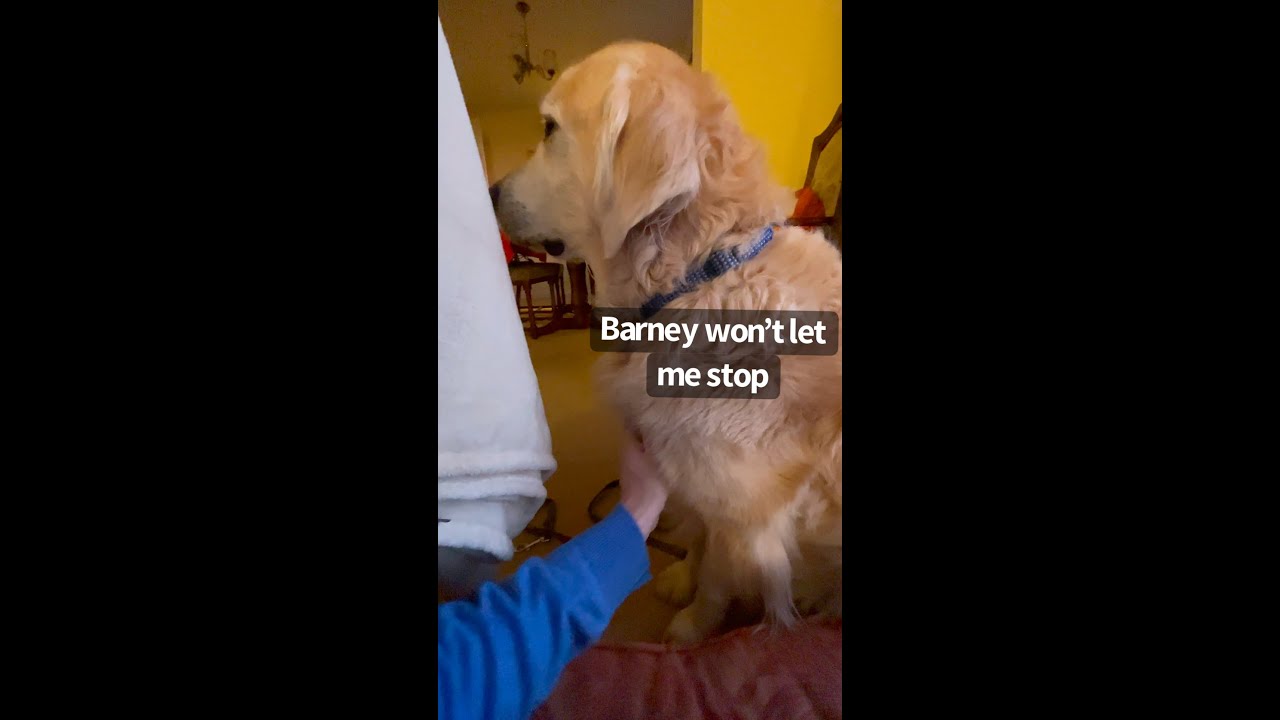 Barney sees himself on TV