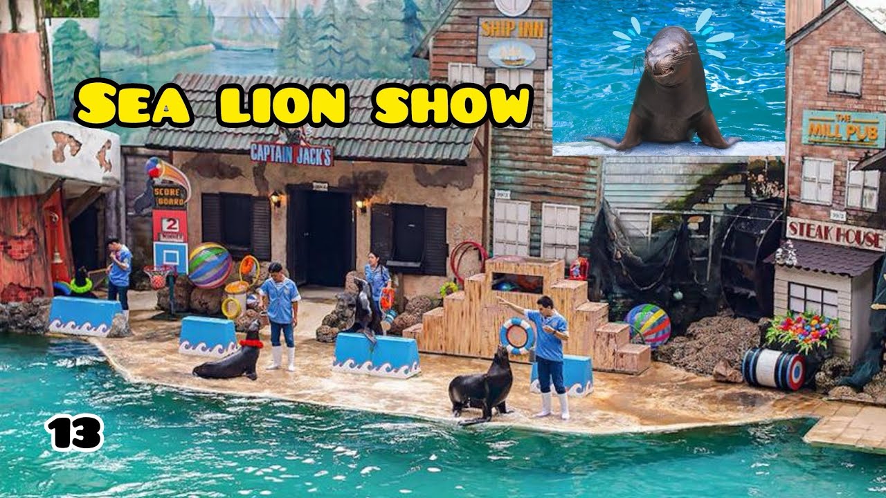 Sea lions show | #sealions | #safariworldbangkok | #harshuarpivlogs | #animals 