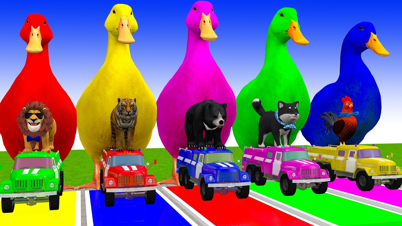 Long Slide Game With Cow Elephant Gorilla Hippopotamus Tiger 3d Animal Game Funny 3d Animals