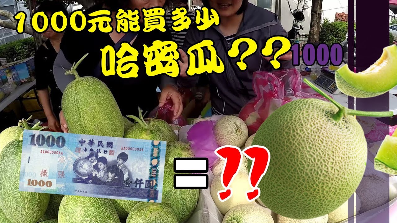 1000元能買多少哈密瓜?? | 一千元系列 50