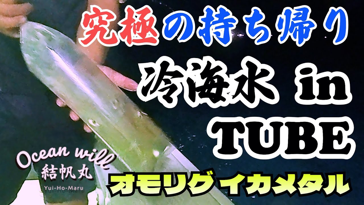 【激流のイカ攻略法】これでもらったら最高！！イカチューブ　オーシャンウイル