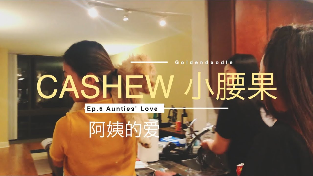 小腰果Cashew's Vlog 06|Aunties' Love|猫狗双全的女生之夜