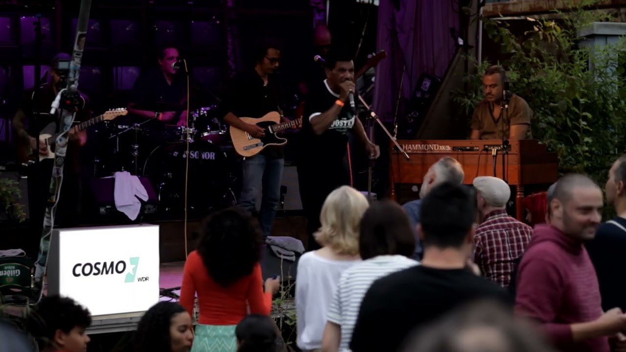 Winston Francis and The Utopians, Mr Fixit (Live)