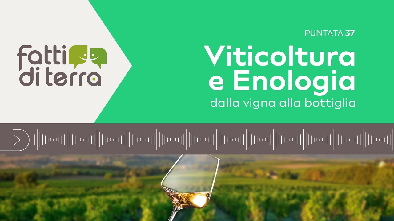 Fatti di Terra Ep.37 - Viticoltura e Enologia: dalla vigna alla bottiglia