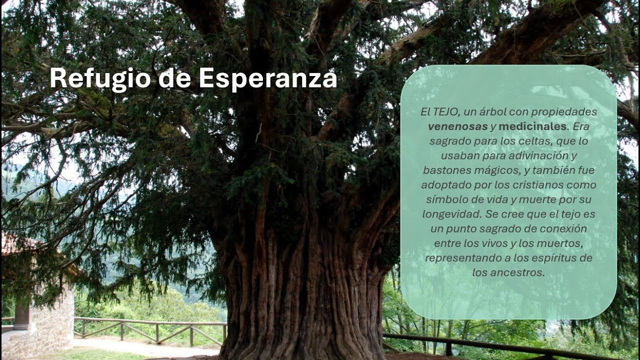 Refugio de Esperanza - Evento ATUVIBI