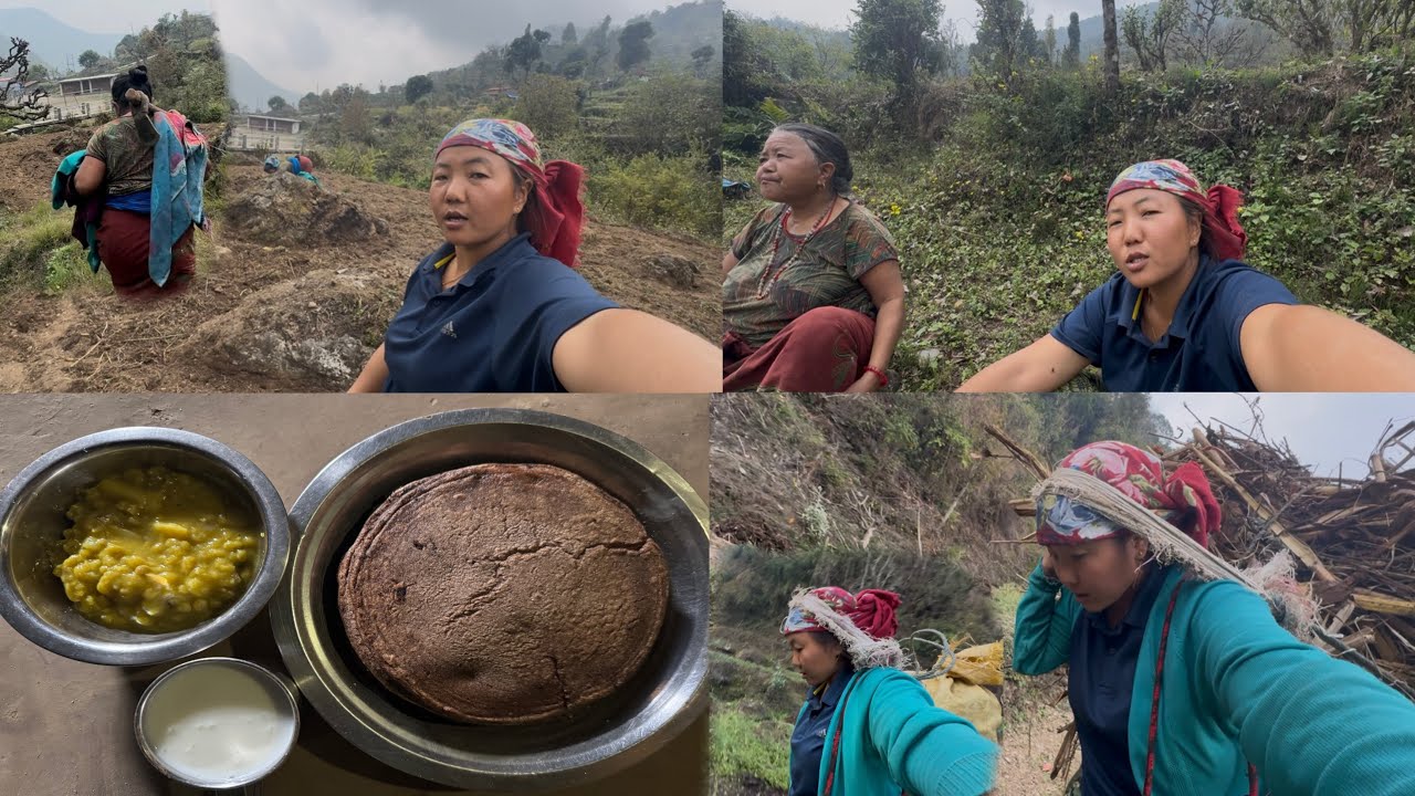 दिनभरि कोदालो खनेर दम्म कोदोको रोटी खानुको मज्जा!सादा जिवन तर सन्तुस्ति र खुसी धेरै#villagelife