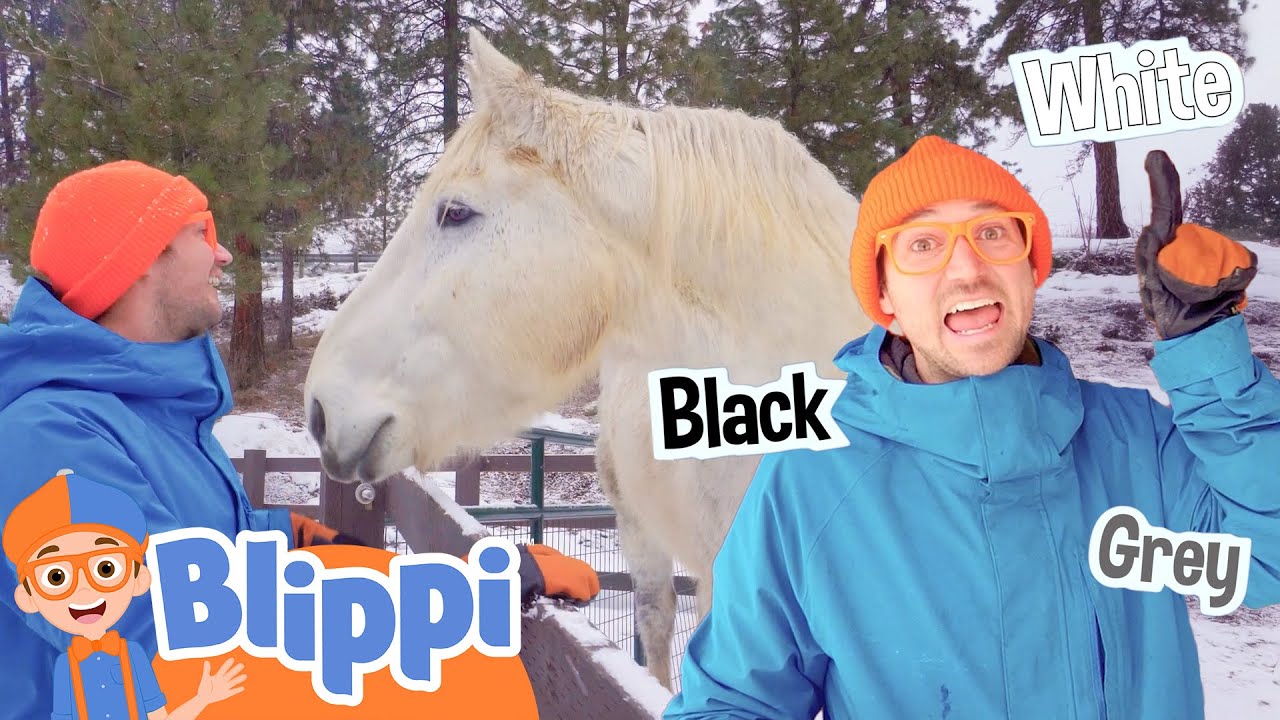 Blippi Visits Animals at the Reindeer Farm! 🦌 Blippi's Colorful Fun! | Blippi Adventures