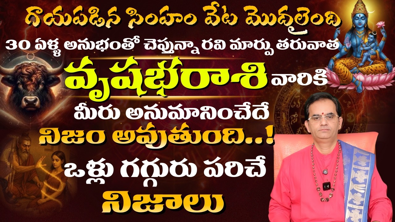 వృషభ రాశి గాయపడిన సింహం వేట మొదలైంది 30 ఏళ్ళ అనుభంతో చెప్తున్నా రవి మార్పు తరువాత గగ్గురు పరిచే