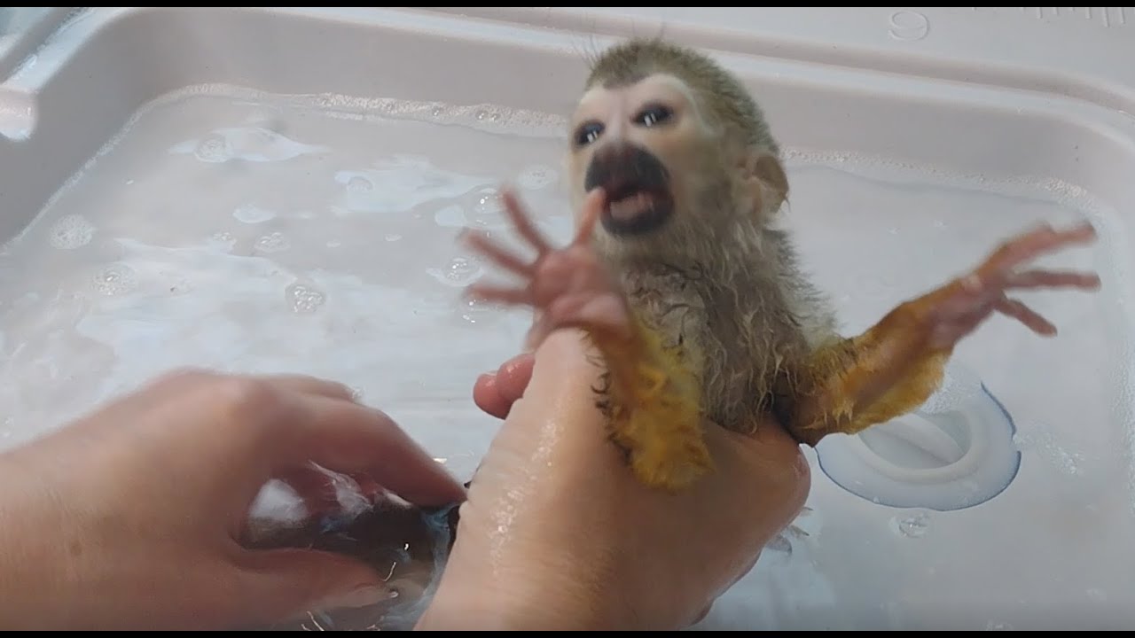 BONNIE'S BATH TIME DISASTER! POO FLIES everywhere and then she climbs on my HEAD!!!