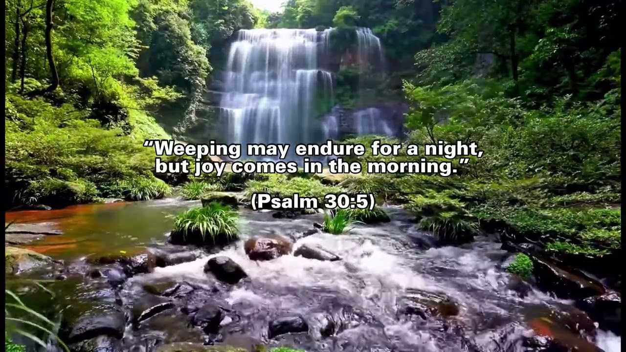 Morning Scripture